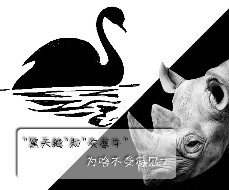 "黑天鵝"和"灰犀牛"為啥不受待見？