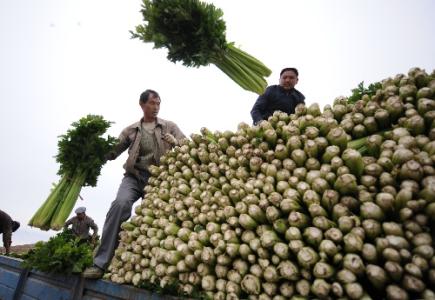 劉永富：發(fā)展產(chǎn)業(yè)脫貧仍是精準(zhǔn)扶貧、精準(zhǔn)脫貧主攻方向