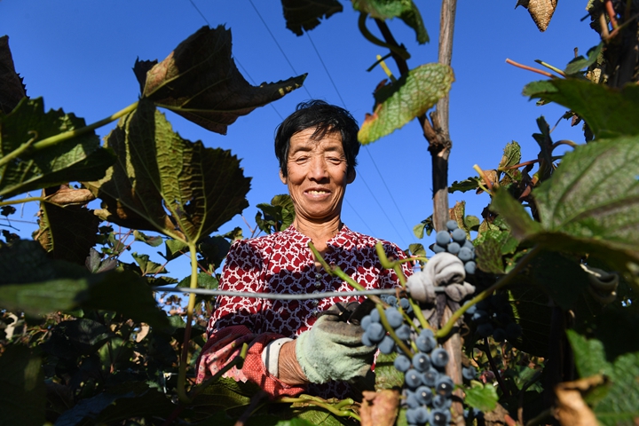 鏗鏘的時(shí)代樂章——黨的十八大以來(lái)習(xí)近平 總書記考察調(diào)研過(guò)的貧困村脫貧調(diào)查